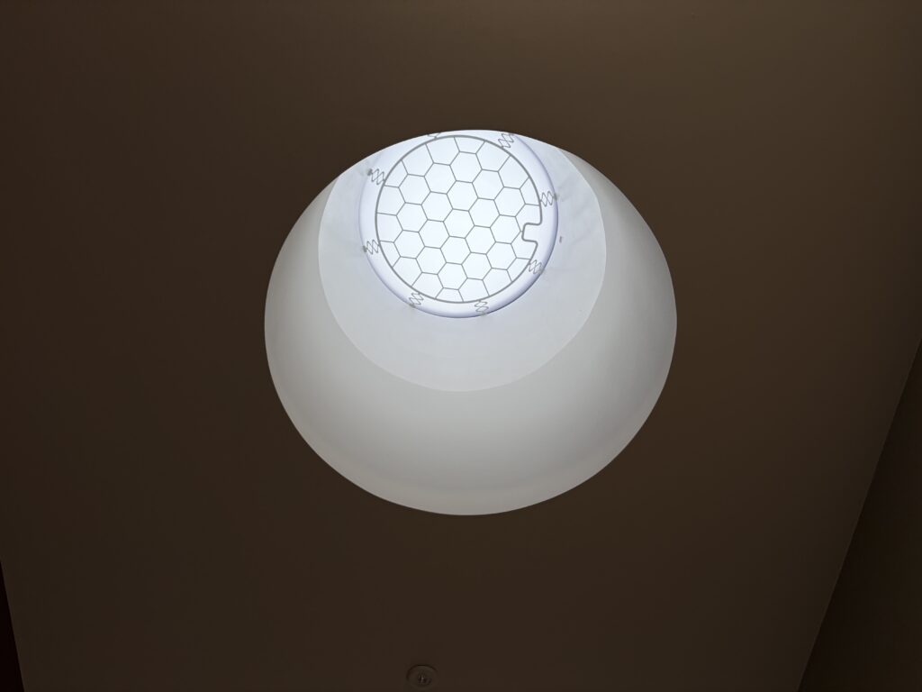 20260205_142620439_iOS